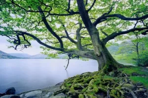 Screen-Shot-2014-11-16-at-2.26.47-PM