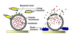 bacterial-toxin