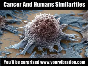 cancer and human beings are similar in behavior and mindset