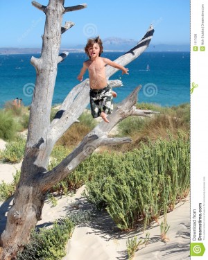 https://www.dreamstime.com/royalty-free-stock-image-boy-jumping-out-tree-vacation-image1117506