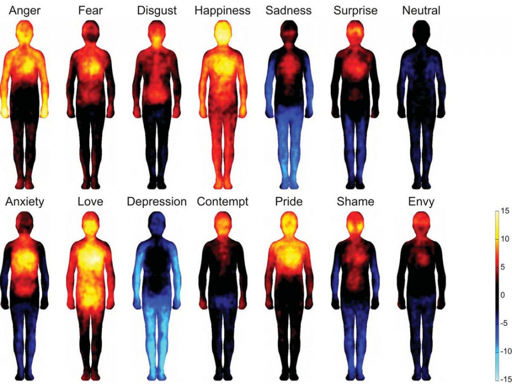 mapping feelings to the body