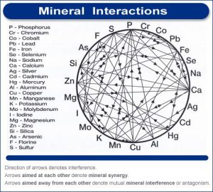 minerals2