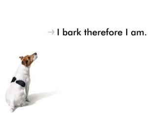 I bark therefore I am