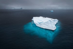 penguins-floating-on-iceberg