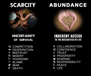 scarcity-abundance