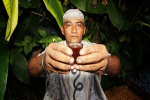 ayahuasca offered by a "shaman"