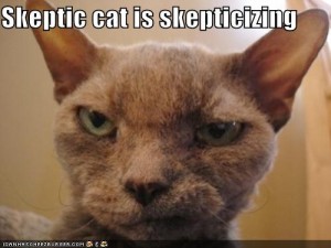 skeptic_cat_4