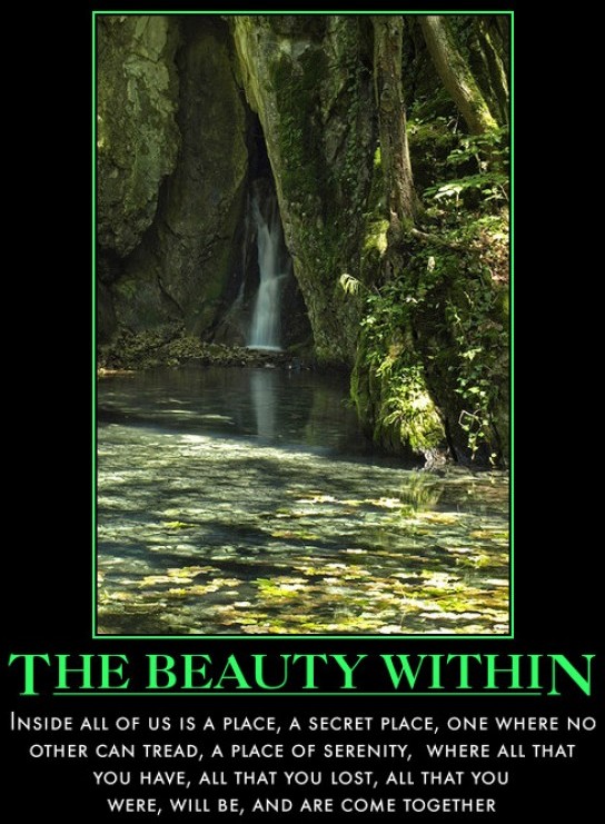 the-beauty-within-waterfall-beauty-place-demotivational-poster-1281499021