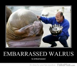 -embarrassed-walrus