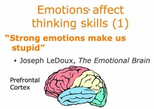 your strong emotions make you dumb