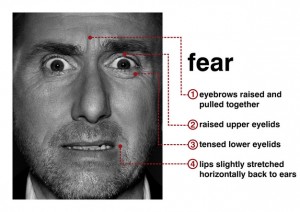 fear-face