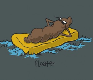 floater