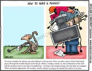 how-to-trap-a-monkey